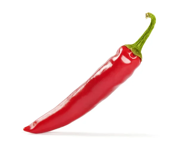 Red hot chili pepper — Stock Photo, Image