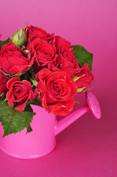 Strauß roter Rosen — Stockfoto