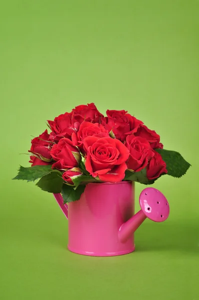 Strauß roter Rosen — Stockfoto