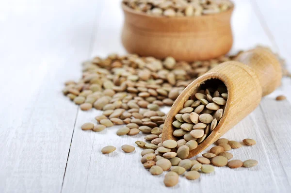 Lentil seeds — Stock Photo, Image