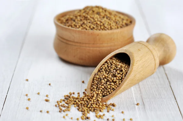 Mustard seeds — Stock Photo, Image