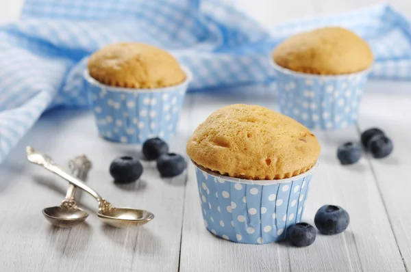 Muffins med färska blåbär — Stockfoto