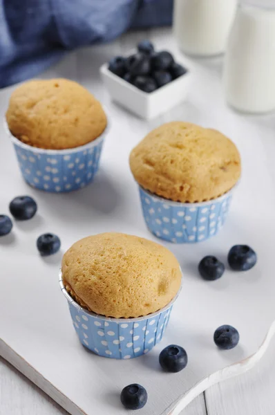 Muffins with fresh blueberries — Stock Photo, Image