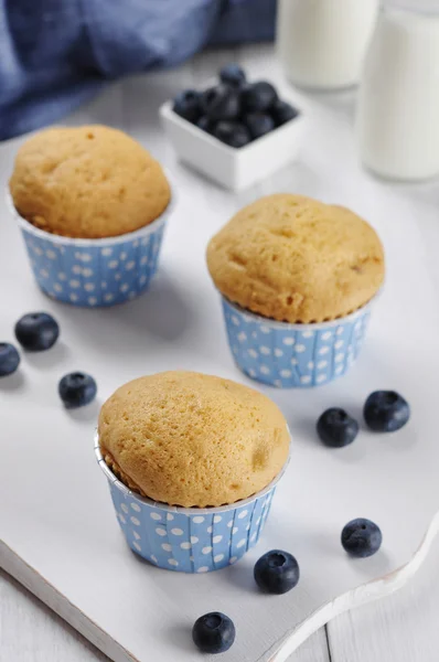 Muffins mit frischen Blaubeeren — Stockfoto