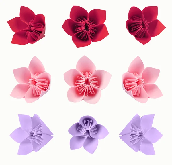 Origami flowers — Stock Photo, Image
