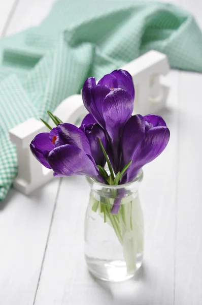 Crocus bloemen — Stockfoto