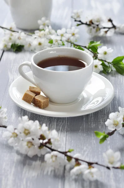 Cup of tea — Stock Photo, Image