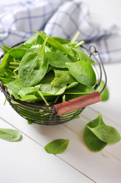 Fresh spinach leaves — Stock Photo, Image