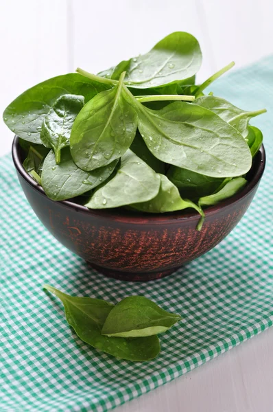 Fresh spinach leaves in bowl — Stock Photo, Image