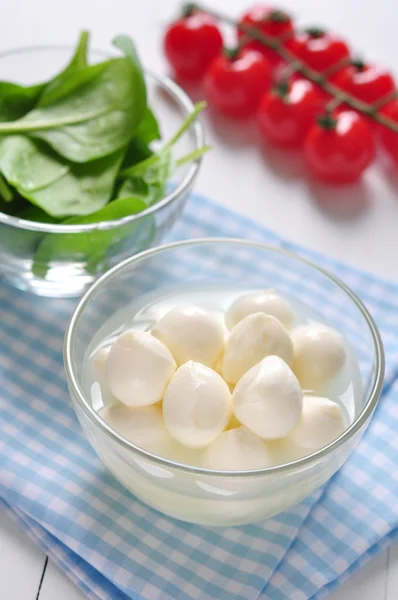 Sýr Mozzarella — Stock fotografie