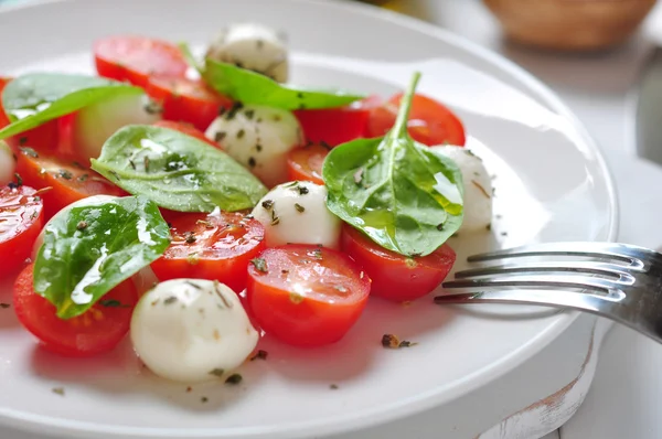 Caprese σαλάτα — Φωτογραφία Αρχείου