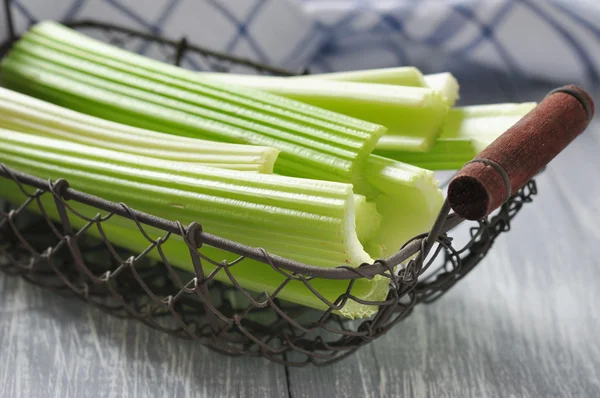 Celery stems — Stock Photo, Image