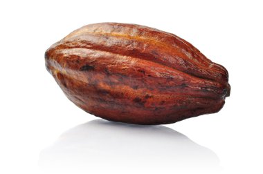 Fresh cacao fruit clipart