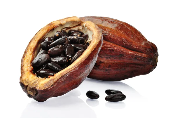 Verse cacao vrucht — Stockfoto