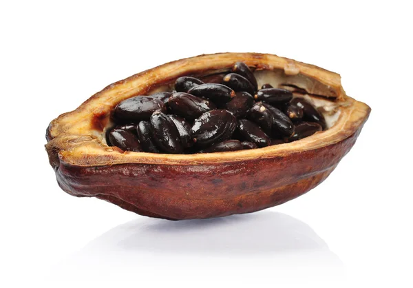 Färska cacao frukt jag — Stockfoto
