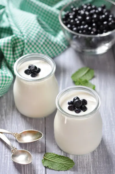 Yoghurt met verse bosbessen — Stockfoto