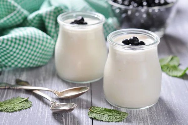 Joghurt friss áfonya — Stock Fotó