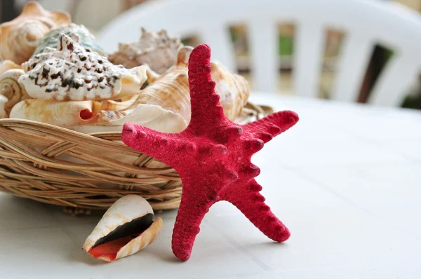 Basket full of seashells — Stock Photo, Image