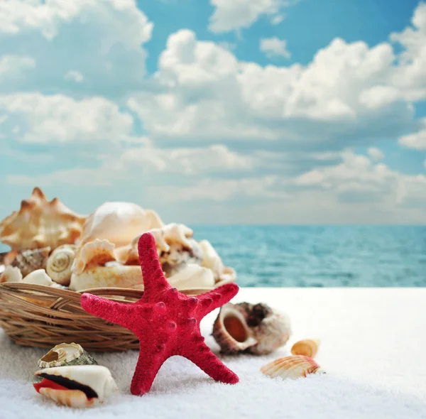 Starfish and seashells Stock Image