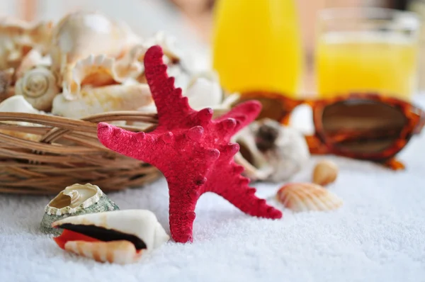 Basket with sea shells — Stock Photo, Image