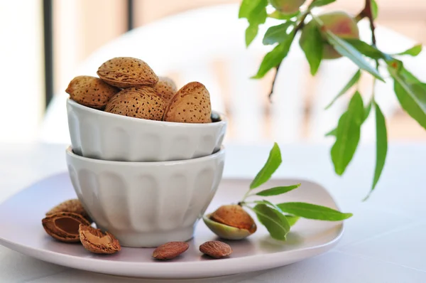Unpeeled almonds — Stock Photo, Image