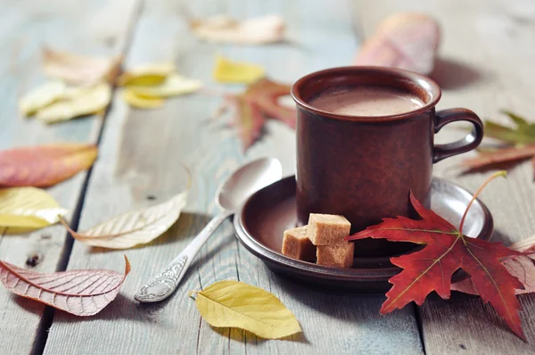 Tasse heiße Schokolade — Stockfoto