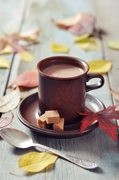 Taza de chocolate caliente — Foto de Stock