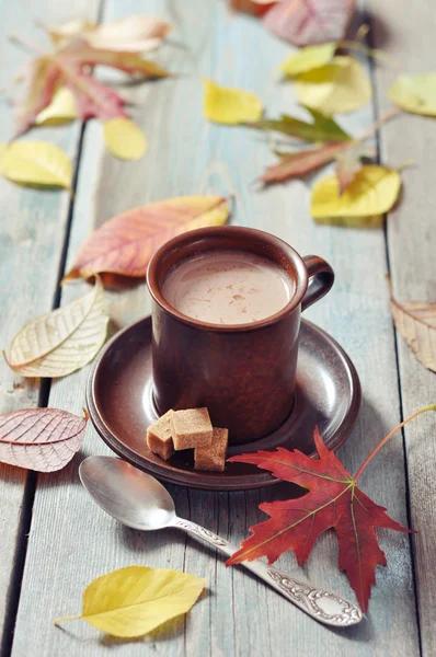 Tasse heiße Schokolade — Stockfoto