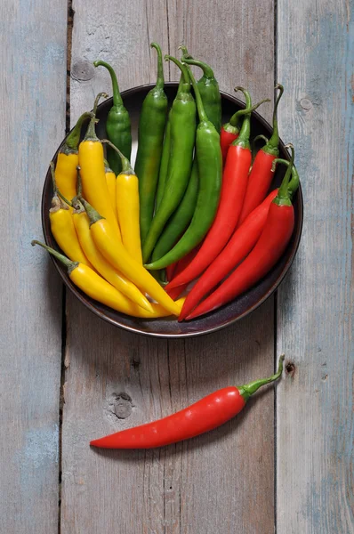 Multi colored hot chili peppers — Stock Photo, Image