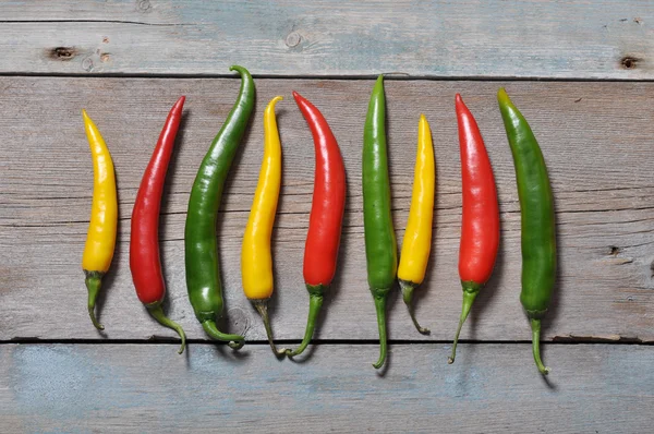 Multi colored hot chili peppers — Stock Photo, Image