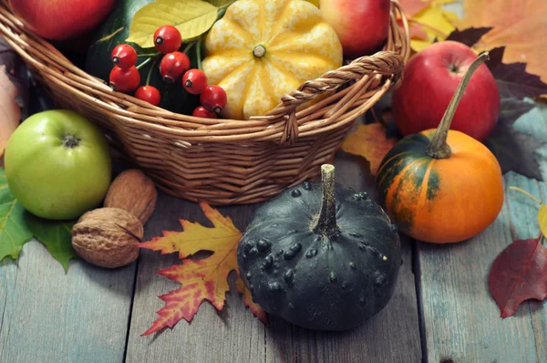 Thanksgiving Concept — Stockfoto