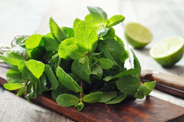 Hojas de menta verde — Foto de Stock