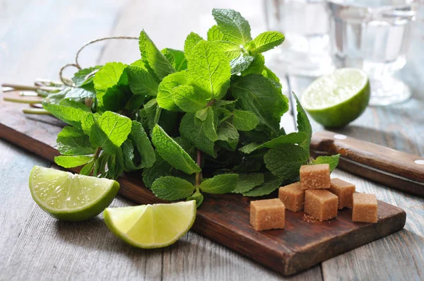 Ingredients for coctail mojito — Stock Photo, Image