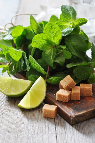 Ingredients for coctail mojito — Stock Photo, Image