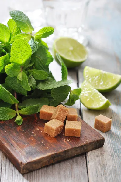 Ingredients for coctail mojito — Stock Photo, Image