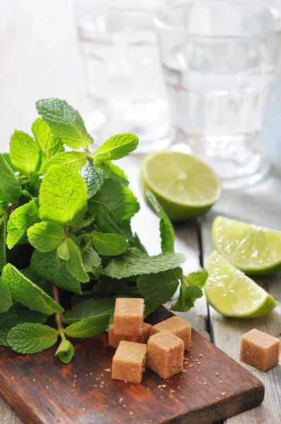 Ingredients for coctail mojito — Stock Photo, Image