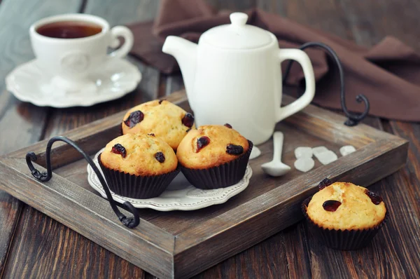 Muffins con arándano seco — Foto de Stock