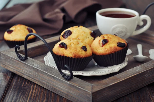 Muffins with dried cranberry — Stock Photo, Image