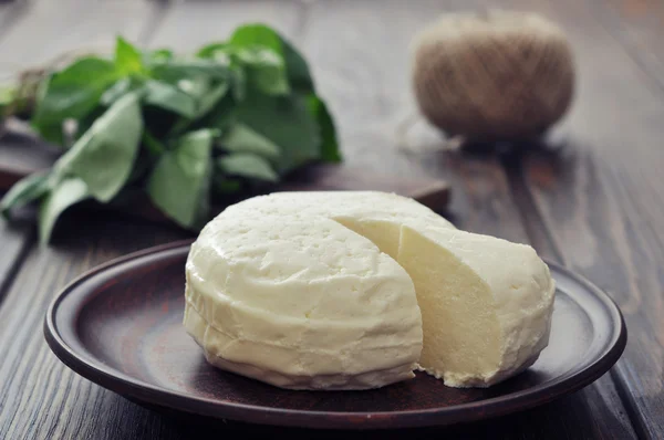 Round cheese — Stok fotoğraf