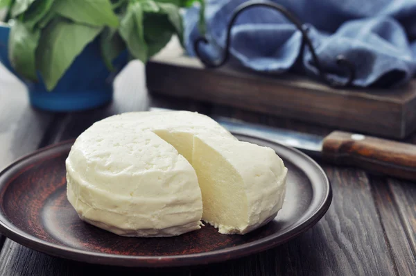 Round cheese — Stock Photo, Image