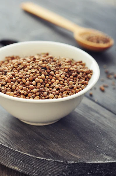 Coriander seeds — Stock Photo, Image