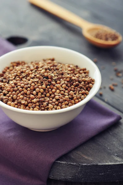 Coriander seeds — Stock Photo, Image