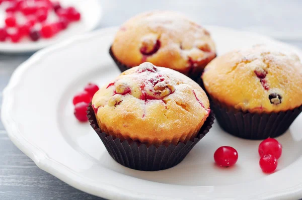Muffins with cranberry — Stock Photo, Image
