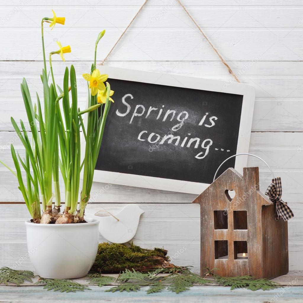 Spring is coming stock photo tashka2000 43181329