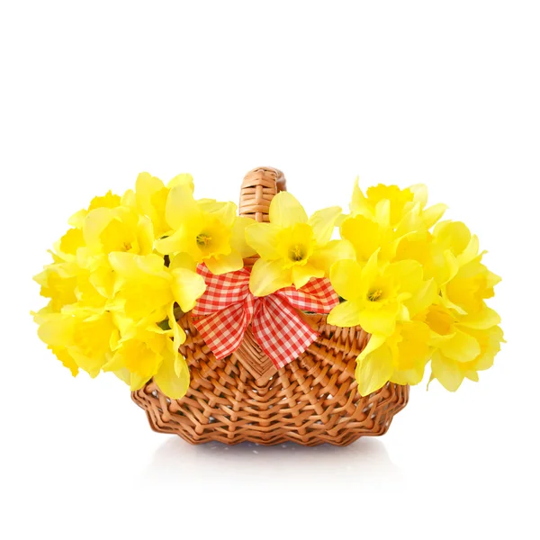 Daffodils σε ψάθινο καλάθι — Φωτογραφία Αρχείου
