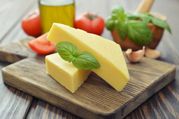 Hård ost — Stockfoto