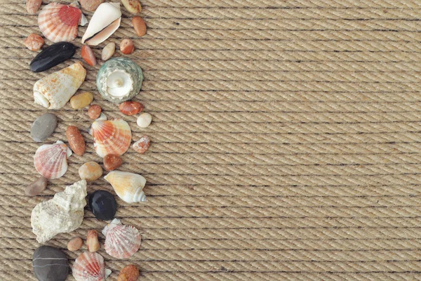 Sea shells and stones — Stock Photo, Image