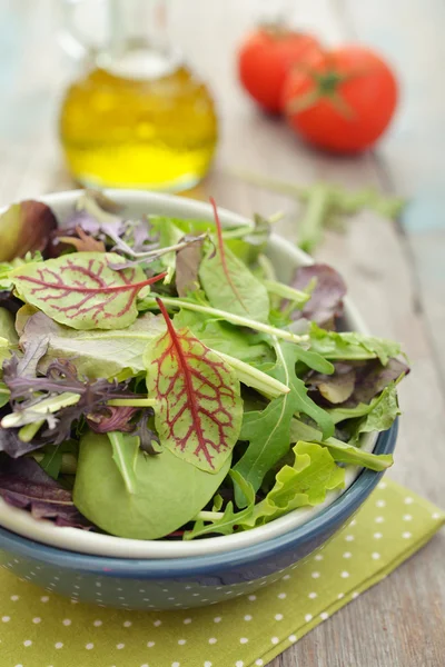 Mezcla de ensalada —  Fotos de Stock