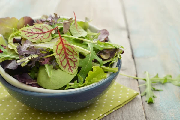 Mezcla de ensalada —  Fotos de Stock