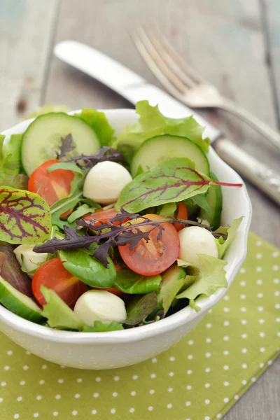 Salad with tomato and mozzarella cheese — Stock Photo, Image